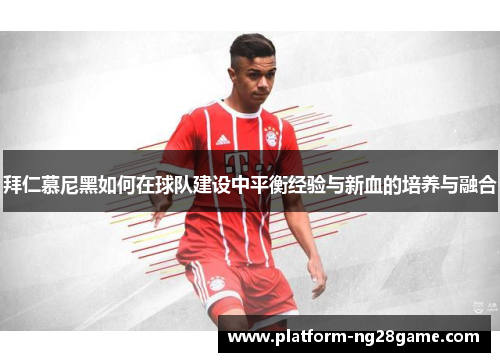 拜仁慕尼黑如何在球队建设中平衡经验与新血的培养与融合