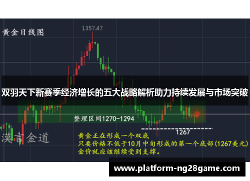 双羽天下新赛季经济增长的五大战略解析助力持续发展与市场突破