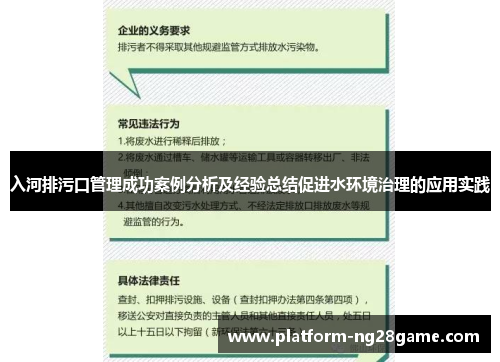 入河排污口管理成功案例分析及经验总结促进水环境治理的应用实践