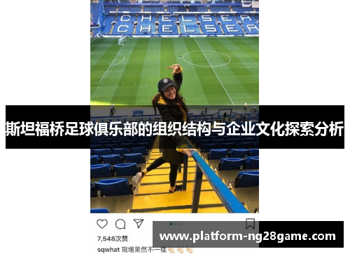 斯坦福桥足球俱乐部的组织结构与企业文化探索分析