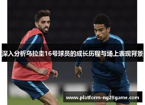 深入分析乌拉圭16号球员的成长历程与场上表现背景