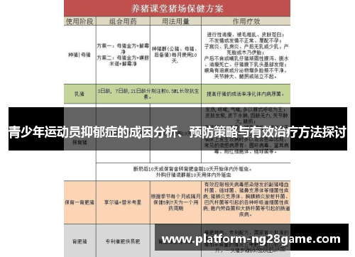 青少年运动员抑郁症的成因分析、预防策略与有效治疗方法探讨