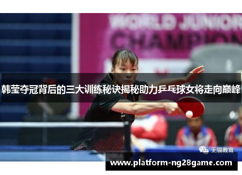 韩莹夺冠背后的三大训练秘诀揭秘助力乒乓球女将走向巅峰
