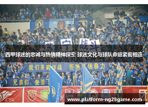西甲球迷的忠诚与热情精神探索 球迷文化与球队命运紧密相连