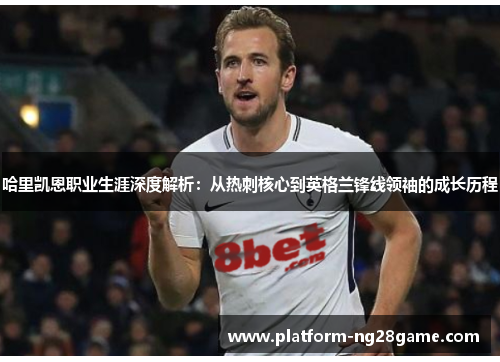 哈里凯恩职业生涯深度解析：从热刺核心到英格兰锋线领袖的成长历程