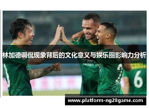 林加德调侃现象背后的文化意义与娱乐圈影响力分析