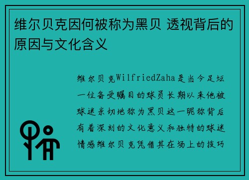 维尔贝克因何被称为黑贝 透视背后的原因与文化含义 维尔贝克因何被称为黑贝 透视背后的原因与文化含义