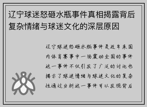 辽宁球迷怒砸水瓶事件真相揭露背后复杂情绪与球迷文化的深层原因