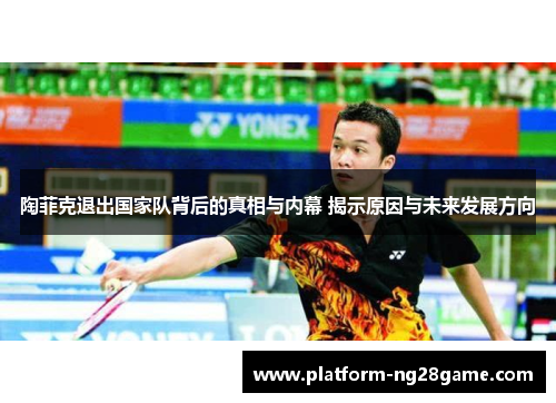 陶菲克退出国家队背后的真相与内幕 揭示原因与未来发展方向